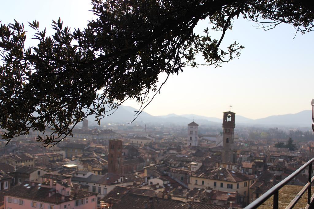 La Terrazza Da Ernestina Apartman Lucca Kültér fotó